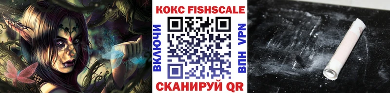 Кокаин Fish Scale  Купить закладки  Балтийск 