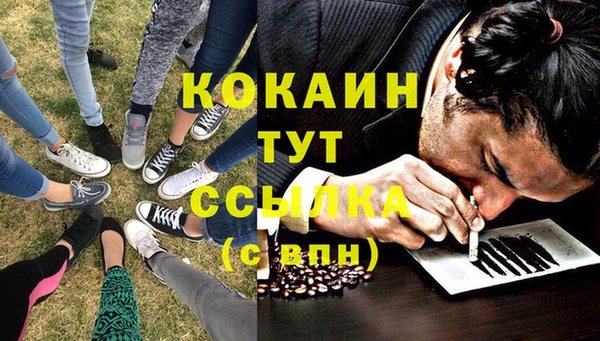 кокс Белокуриха